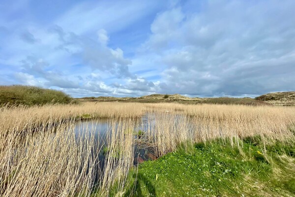 Foto van 6 persoons vakantie huis in Nørre Nebel - Vakantiehuis in Nørre Nebel - WaterView