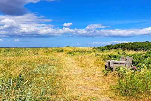 Foto van Kustparadijs in Stoense-By Traum - Vakantiehuis in Tranekær - Outdoor