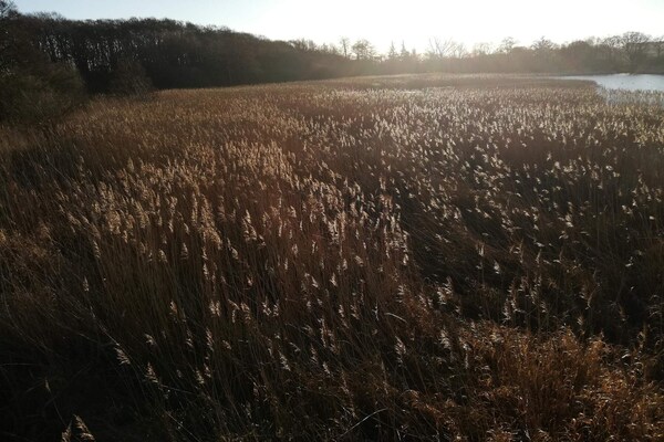 Foto van 8 persoons vakantie huis in Ebeltoft - Vakantiehuis in Ebeltoft - WaterView
