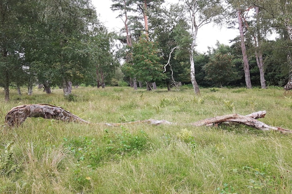 Foto van 10 persoons vakantie huis in Væggerløse-By Traum - Untagged