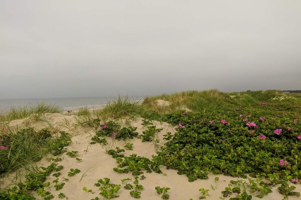 Foto van Luxe retraite met zwembad -- By Traum Ferienwohnungen - Untagged