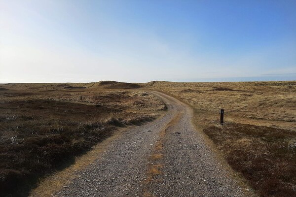 Foto van 10 persoons vakantie huis in Frøstrup-By Traum - Vakantiehuis in Frøstrup - Untagged