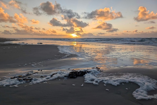 Foto van Luxe strandhuis in Blokhus -- By Traum Ferienwohnungen - WaterView
