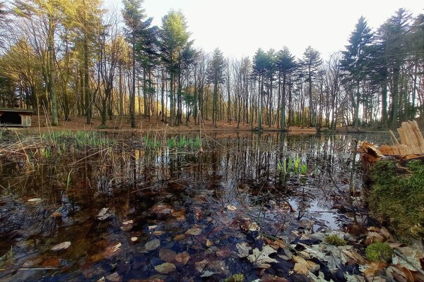 Foto van 8 persoons vakantie huis in Vestervig - Vakantiehuis in Vestervig - WaterView
