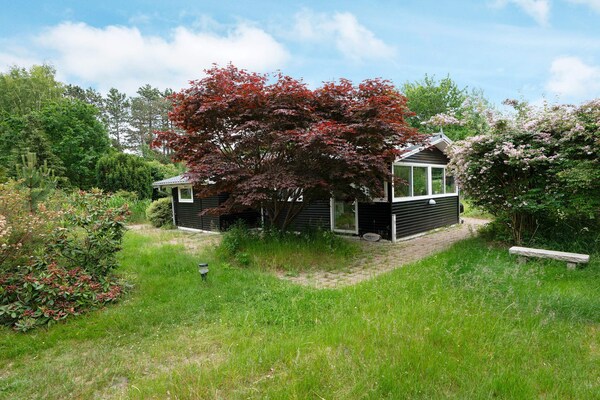 Foto van Gezellig toevluchtsoord in Ellinge Lyng - Vakantiehuis in Vig - View