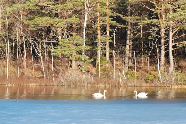Foto van 6 persoons vakantie huis in HEDEKAS-By Traum - Vakantiehuis in HEDEKAS - Untagged