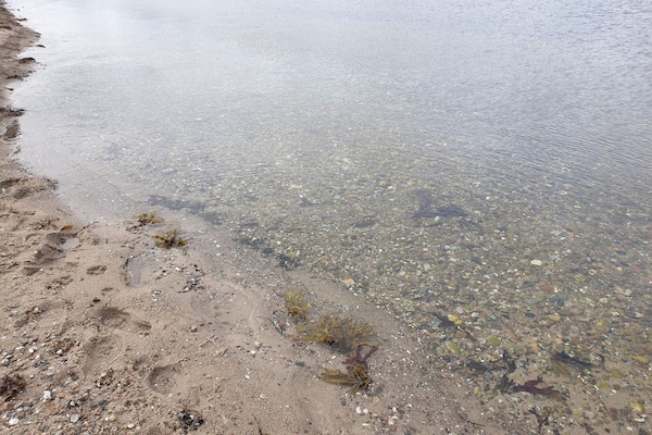 Foto van 8 persoons vakantie huis in Aabenraa-By Traum - Vakantiehuis in Aabenraa - WaterView