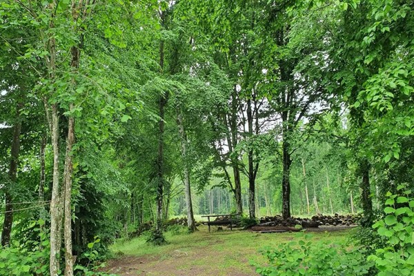 Foto van 9 persoons vakantie huis in Ljungbyhed-By Traum - Vakantiehuis in Ljungbyhed - Untagged