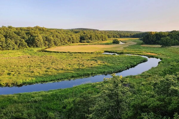 Foto van 9 persoons vakantie huis in Ljungbyhed-By Traum - Vakantiehuis in Ljungbyhed - WaterView
