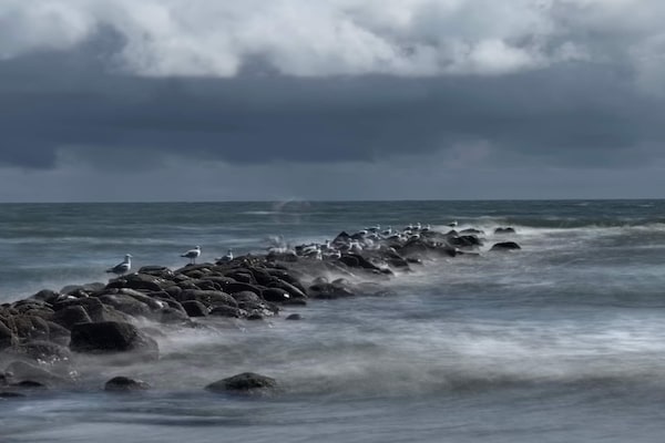 Foto van Rietgedekt huisje met spa - Vakantiehuis in Blåvand - WaterView