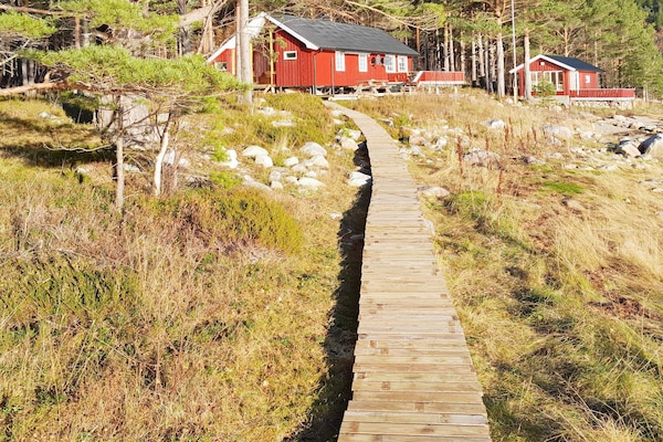 Foto van 8 persoons vakantie huis in Sundlandet - Vakantiehuis in Sundlandet - Untagged