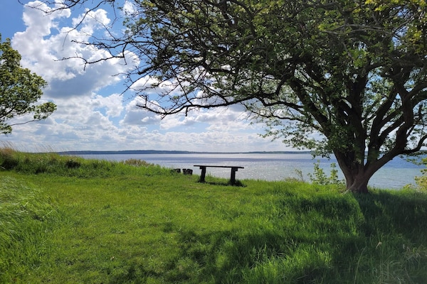 Foto van 8 persoons vakantie huis in Ølsted-By Traum - Vakantiehuis in Ølsted - WaterView