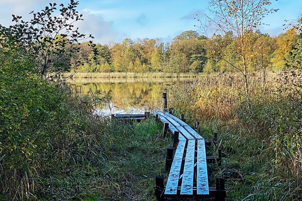 Foto van 4 sterren vakantie huis in SKÅNES-FAGERHULT - Vakantiehuis in SKÅNES-FAGERHULT - Untagged