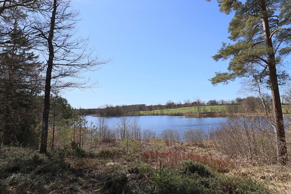 Foto van 4 sterren vakantie huis in SKÅNES-FAGERHULT - Vakantiehuis in SKÅNES-FAGERHULT - Outdoor
