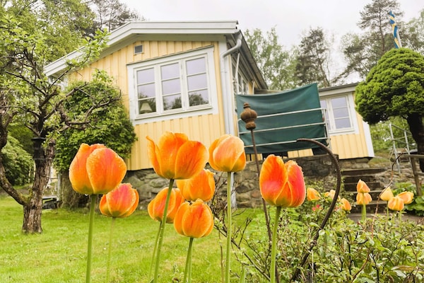 Foto van 3 Personen vakantie huis in Stenungsund - Vakantiehuis in Stenungsund - Outdoor