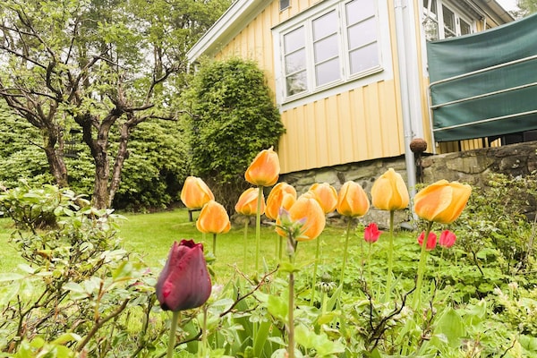 Foto van 3 Personen vakantie huis in Stenungsund - Vakantiehuis in Stenungsund - Outdoor
