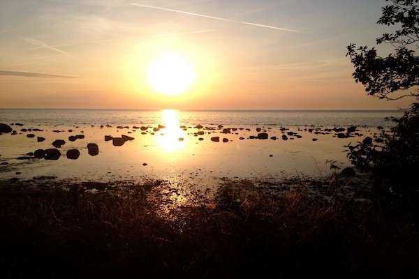 Foto van 4 sterren vakantie huis in VISBY - Vakantiehuis in VISBY - Outdoor