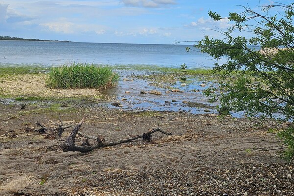 Foto van 8 persoons vakantie huis in Aabenraa-By Traum - Vakantiehuis in Aabenraa - WaterView