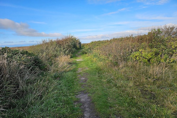 Foto van 8 persoons vakantie huis in Ulfborg-By Traum - Vakantiehuis in Ulfborg - Untagged