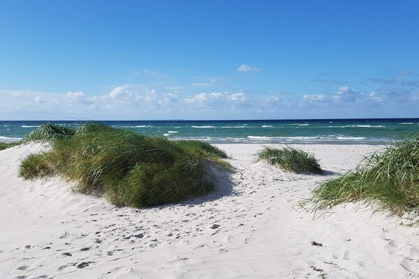 Foto van 10 persoons vakantie huis in Ebeltoft-By Traum - Vakantiehuis in Ebeltoft - Pool