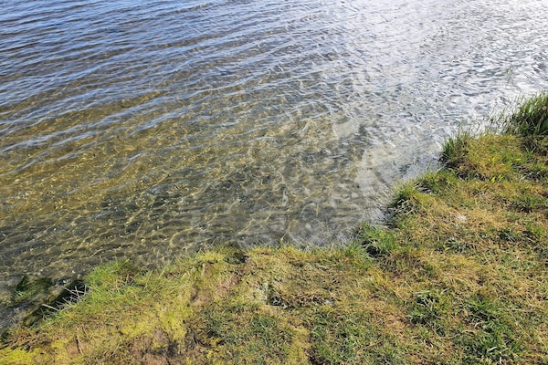 Foto van Rustige oase met zwembad - Vakantiehuis in Ørsted - WaterView
