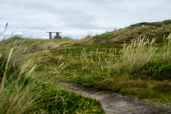 Foto van 8 persoons vakantie huis in Harboøre-By Traum - Vakantiehuis in Harboøre - Untagged