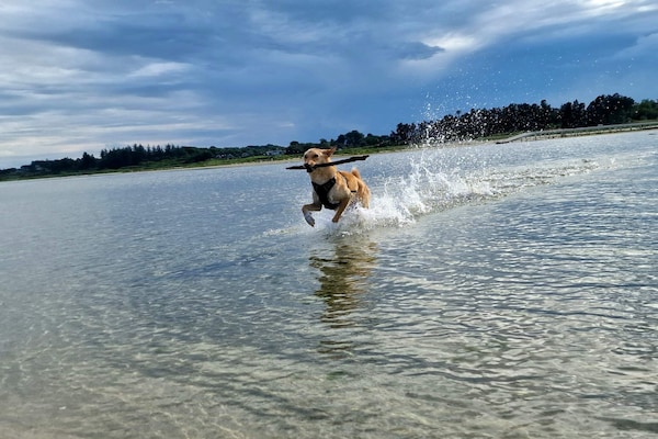 Foto van 10 persoons vakantie huis in Hadsund-By Traum - Vakantiehuis in Hadsund - WaterView