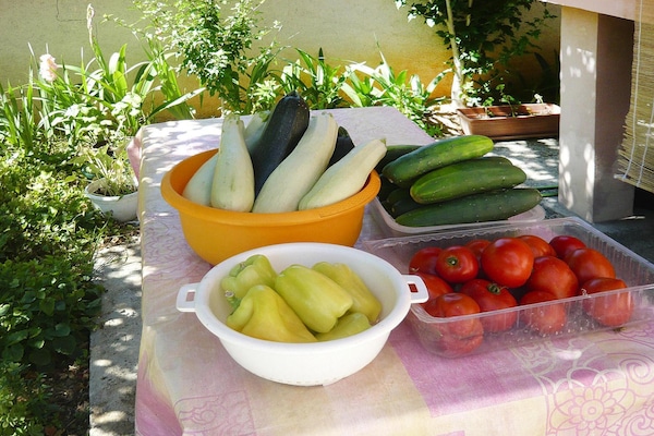 Foto van Appartement in Privlaka bij Prachtige Stranden - Vakantiehuis in Privlaka - TerraceBalcony