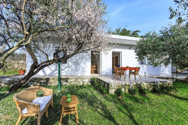 Foto van Vakantiehuis op Brac bij Gouden Hoorn - Vakantiehuis in Sumartin - ExteriorSummer