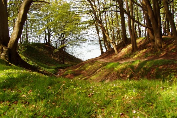 Foto van Appartement in Wiek vlakbij het strand van Juliusruh - AreaSummer20KM