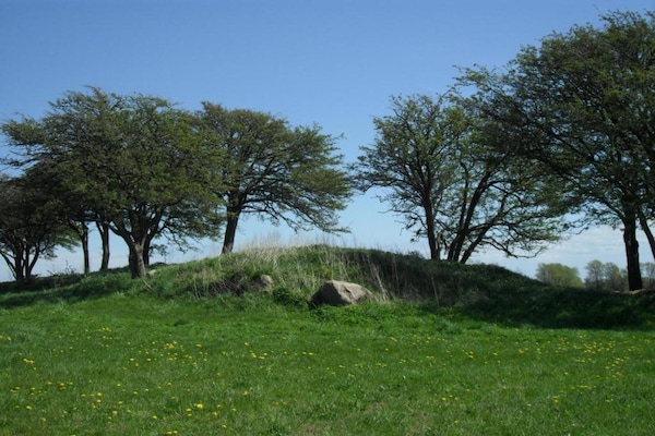 Foto van Appartement in Wiek vlakbij het strand van Juliusruh - AreaSummer20KM
