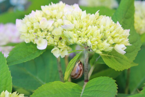 Foto van Appartement in Blowatz aan de Oostzeekust - Vakantiehuis in Blowatz - Ambiance
