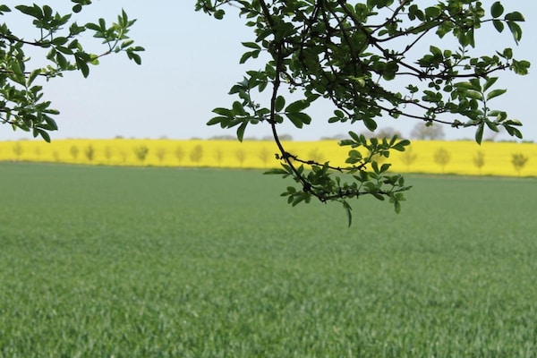 Foto van Vakantieappartement in Boltenhagen vlakbij het strand - AreaSummer20KM