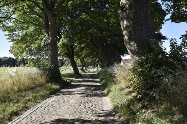 Foto van Appartement in Satow met tuin - Vakantiehuis in Gerdshagen - AreaSummer20KM