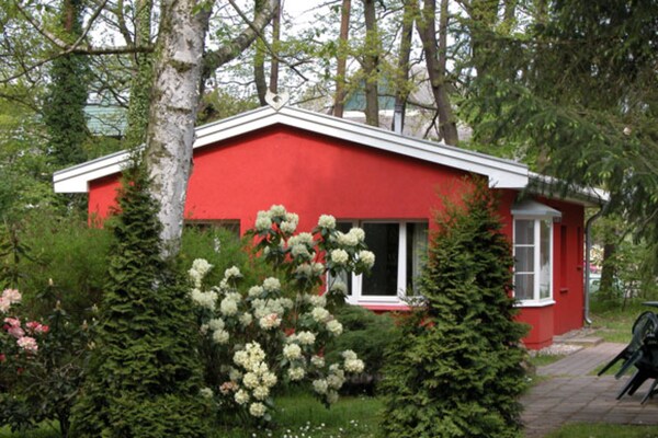 Foto van Bungalow in het vakantiepark Damerow op Usedom - Vakantiehuis in Koserow OT Damerow - ExteriorSummer
