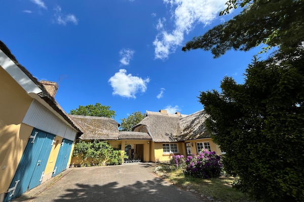 Foto van Vakantiewoning, Wieck am Darß - Vakantiehuis in Wieck am Darß - ExteriorSummer