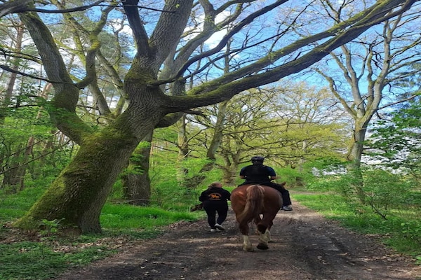 Foto van Chalet in Wendorf - Vakantiehuis in Wendorf - AreaSummer1KM
