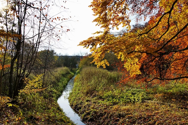 Foto van Rijtjeshuis Reiterchalet in Wendorf - Vakantiehuis in Wendorf - AreaSummer1KM