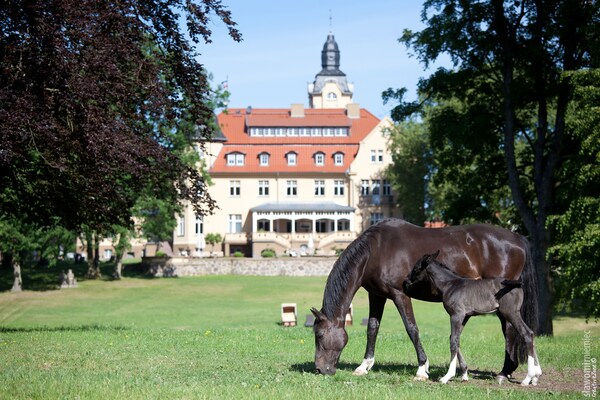 Foto van Vakantiehuis Oliver in het Wendorf Bernstein Resort - AreaSummer1KM