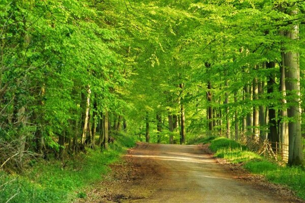 Foto van Appartement, Oldenburg in Holstein - Vakantiehuis in Oldenburg in Holstein OT Dannau - AreaSummer20KM