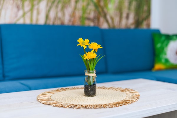 Foto van Licht vakantieapt voor twee personen in Bensersiel - LivingRoom