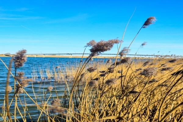 Foto van Appartement in het Wangerland Resort - Vakantiehuis in Hohenkirchen - WaterView