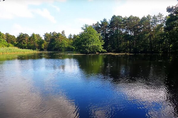 Foto van Chalet in Wendorf - Vakantiehuis in Wendorf - AreaSummer1KM