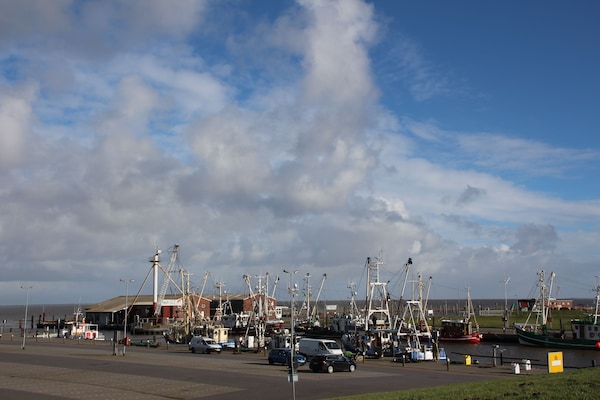 Foto van Vakantieappartement met zonneterras in Dornumersiel - AreaSummer1KM