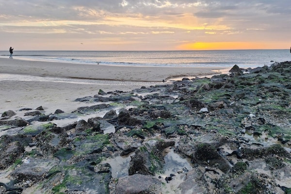 Foto van Appartement in Westerland op Sylt - Vakantiehuis in Westerland - AreaSummer5KM