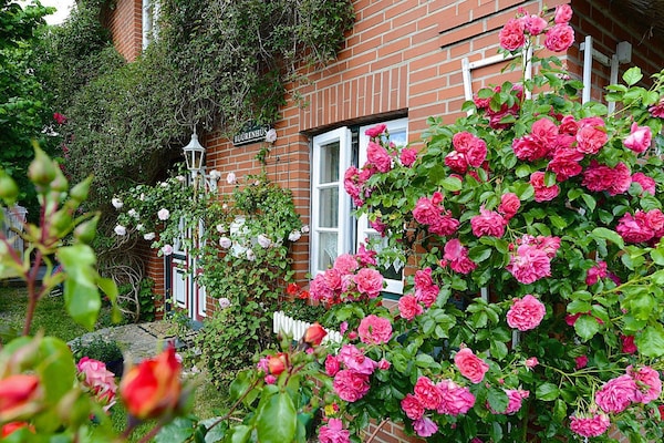 Foto van Vakantieappartement in Oevenum op Foehr - Vakantiehuis in Oevenum - GardenSummer