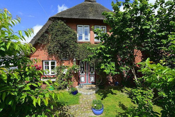 Foto van Vakantieappartement in Oevenum op Foehr - Vakantiehuis in Oevenum - ExteriorSummer