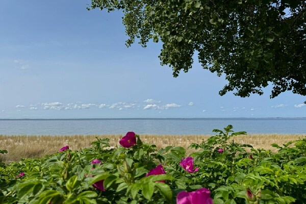 Foto van Halfvrijstaande woning, Lubmin - Vakantiehuis in Lubmin - AreaSummer1KM