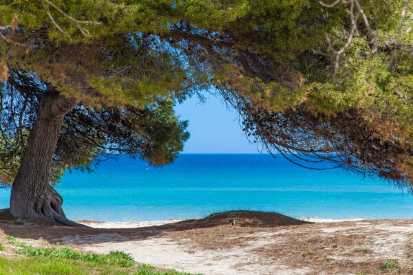 Foto van Huis in Can Picafort bij Playa de Muro - Vakantiehuis in Can Picafort, Illes Balears - 