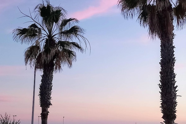 Foto van Appartement met uitzicht op de tuin in El Médano - Vakantiehuis in Santa Cruz de Tenerife - AreaSummer5KM
